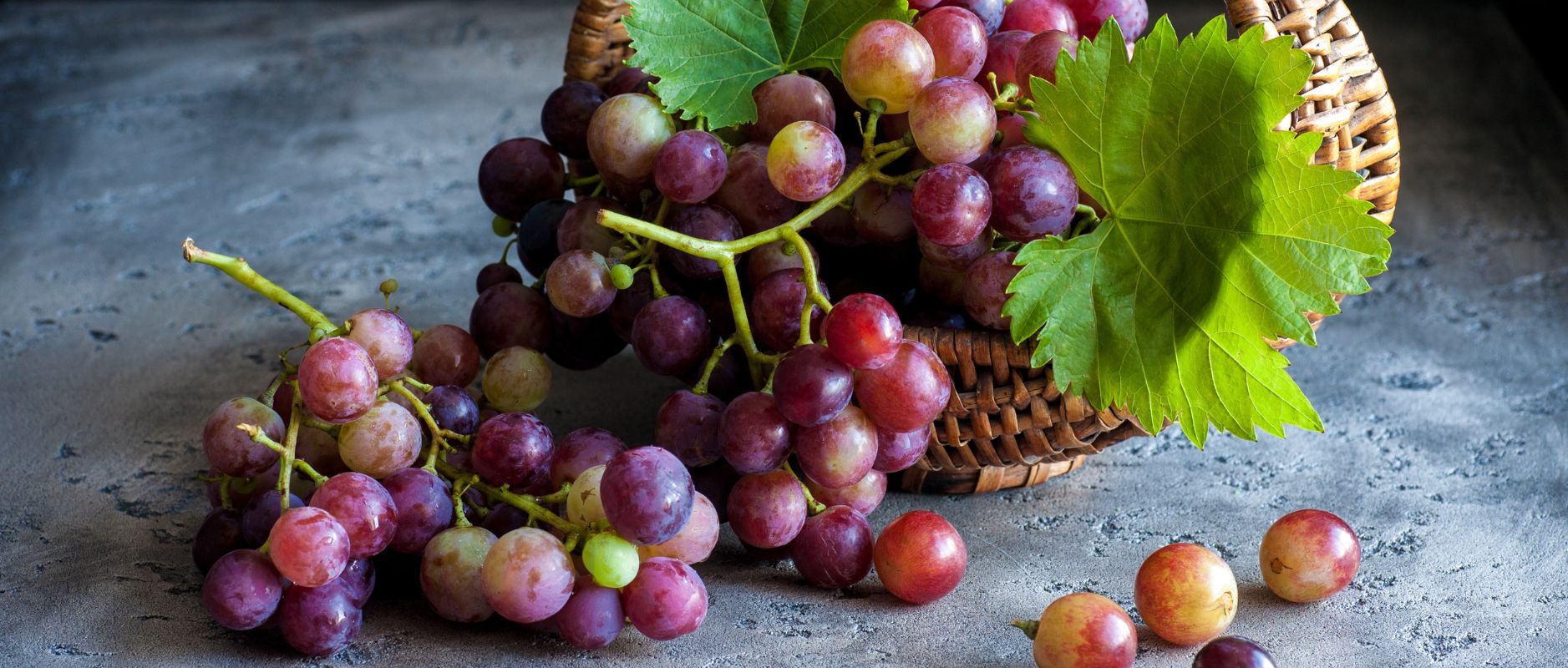  winogrona mogą zwalczyć przewlekły ból